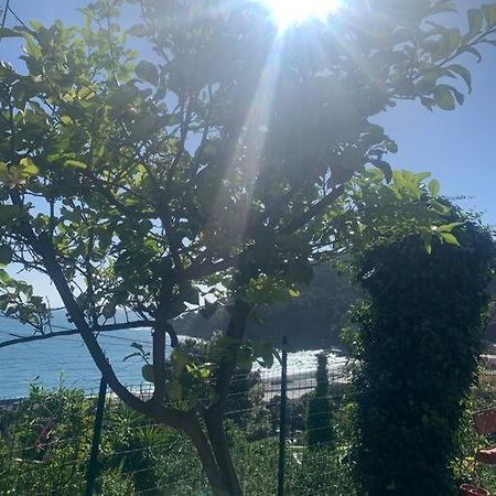 Cozy Beach House With Nice Garden, Basic Feel Apartment Bonassola Exterior photo