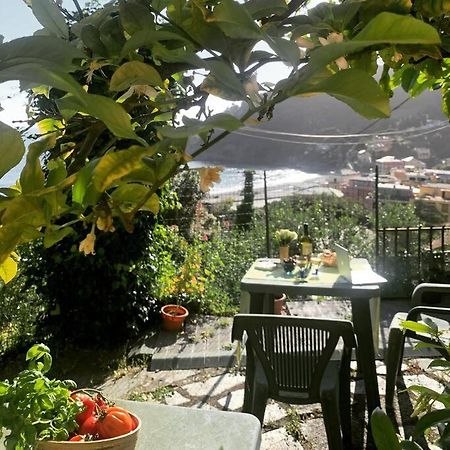 Cozy Beach House With Nice Garden, Basic Feel Apartment Bonassola Exterior photo