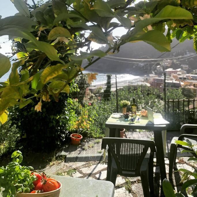 Cozy Beach House With Nice Garden, Basic Feel Apartment Bonassola Exterior photo